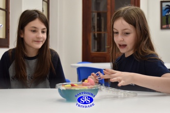 5º ano: doce estudo sobre as células em aula no Espaço Gourmet