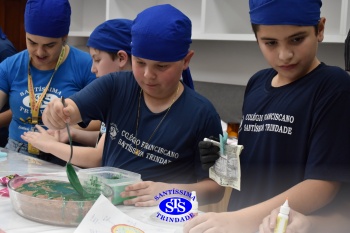 5º ano: doce estudo sobre as células em aula no Espaço Gourmet