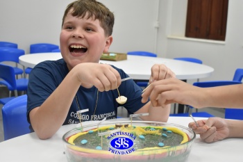 5º ano: doce estudo sobre as células em aula no Espaço Gourmet