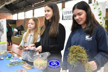 Feira de Ciências promove  o desenvolvimento de aprendizagens | 6º ano