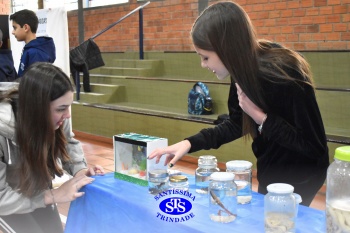 Feira de Ciências promove  o desenvolvimento de aprendizagens | 6º ano