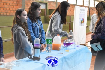 Feira de Ciências promove  o desenvolvimento de aprendizagens | 6º ano