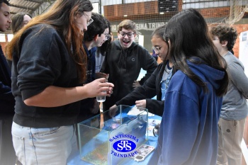 Feira de Ciências promove  o desenvolvimento de aprendizagens | 6º ano