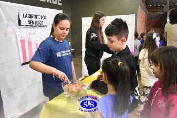 Feira de Ciências promove  o desenvolvimento de aprendizagens | 6º ano