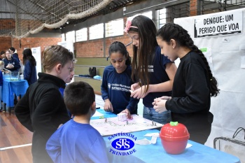 Feira de Ciências promove  o desenvolvimento de aprendizagens | 6º ano