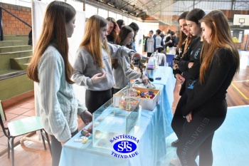 Feira de Ciências promove  o desenvolvimento de aprendizagens | 6º ano