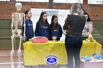 Feira de Ciências promove  o desenvolvimento de aprendizagens | 6º ano