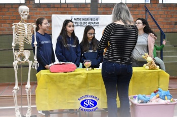 Feira de Ciências promove  o desenvolvimento de aprendizagens | 6º ano