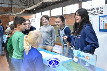 Feira de Ciências promove  o desenvolvimento de aprendizagens | 6º ano