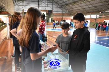 Feira de Ciências promove  o desenvolvimento de aprendizagens | 6º ano