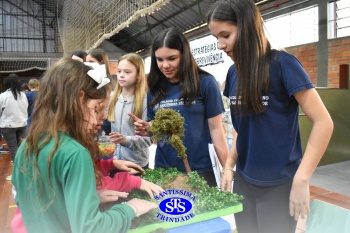 Feira de Ciências promove  o desenvolvimento de aprendizagens | 6º ano