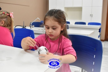 Infantil 4 desenvolve atividades que promovem o desenvolvimento de habilidades