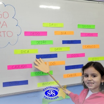 Diferentes recursos no processo de alfabetização do 1º ano 