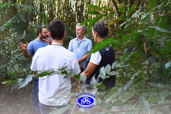 Alunos do 7º ano e da 2ª série participam do projeto Meliponário Franciscano