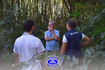 Alunos do 7º ano e da 2ª série participam do projeto Meliponário Franciscano