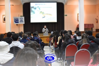 Alunos do 7º ano e da 2ª série participam do projeto Meliponário Franciscano