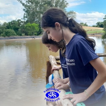 Estudantes conhecem o Sítio das Aves e têm contato com vários animais | 5º ano