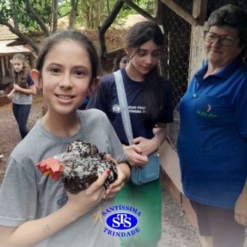 Estudantes conhecem o Sítio das Aves e têm contato com vários animais | 5º ano