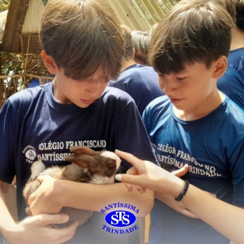 Estudantes conhecem o Sítio das Aves e têm contato com vários animais | 5º ano