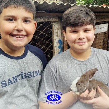 Estudantes conhecem o Sítio das Aves e têm contato com vários animais | 5º ano