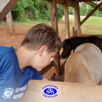 Estudantes conhecem o Sítio das Aves e têm contato com vários animais | 5º ano