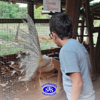 Estudantes conhecem o Sítio das Aves e têm contato com vários animais | 5º ano