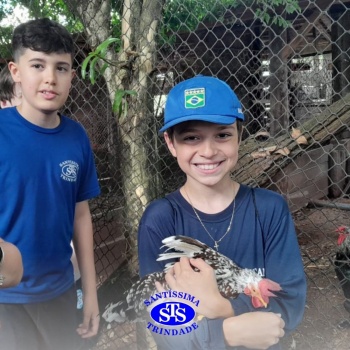 Estudantes conhecem o Sítio das Aves e têm contato com vários animais | 5º ano