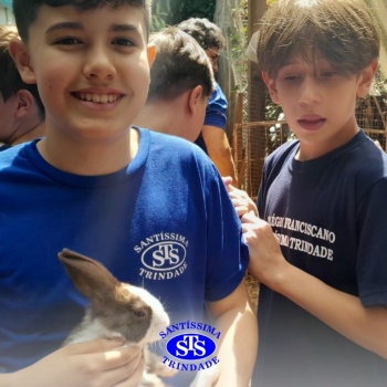 Estudantes conhecem o Sítio das Aves e têm contato com vários animais | 5º ano