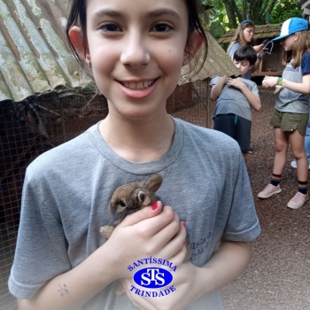 Estudantes conhecem o Sítio das Aves e têm contato com vários animais | 5º ano