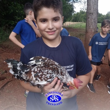 Estudantes conhecem o Sítio das Aves e têm contato com vários animais | 5º ano