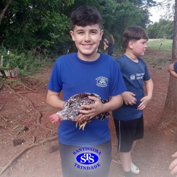 Estudantes conhecem o Sítio das Aves e têm contato com vários animais | 5º ano