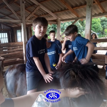 Estudantes conhecem o Sítio das Aves e têm contato com vários animais | 5º ano