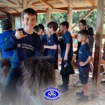 Estudantes conhecem o Sítio das Aves e têm contato com vários animais | 5º ano