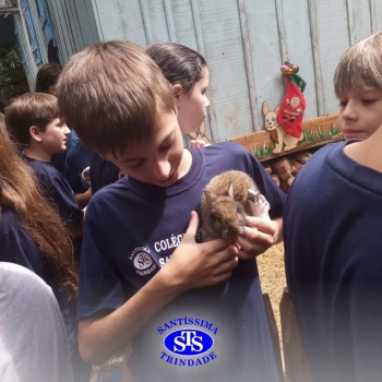 Estudantes conhecem o Sítio das Aves e têm contato com vários animais | 5º ano