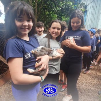 Estudantes conhecem o Sítio das Aves e têm contato com vários animais | 5º ano