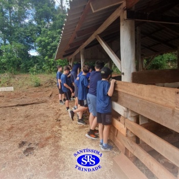 Estudantes conhecem o Sítio das Aves e têm contato com vários animais | 5º ano