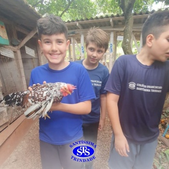 Estudantes conhecem o Sítio das Aves e têm contato com vários animais | 5º ano