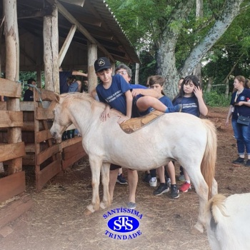 Estudantes conhecem o Sítio das Aves e têm contato com vários animais | 5º ano