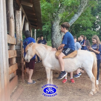 Estudantes conhecem o Sítio das Aves e têm contato com vários animais | 5º ano