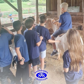 Estudantes conhecem o Sítio das Aves e têm contato com vários animais | 5º ano