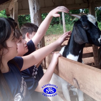 Estudantes conhecem o Sítio das Aves e têm contato com vários animais | 5º ano